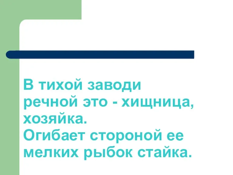 В тихой заводи речной это - хищница, хозяйка. Огибает стороной ее мелких рыбок стайка.