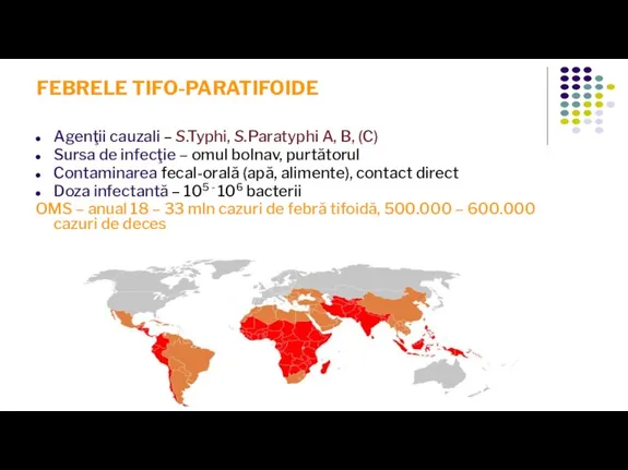 FEBRELE TIFO-PARATIFOIDE Agenţii cauzali – S.Typhi, S.Paratyphi A, B, (C) Sursa de