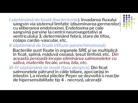 I săptămână de boală (bacteriemie). Invadarea fluxului sangvin via sistemul limfatic (diseminarea