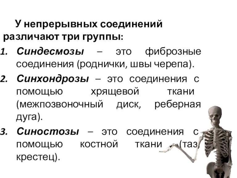 У непрерывных соединений различают три группы: Синдесмозы – это фиброзные соединения (роднички,