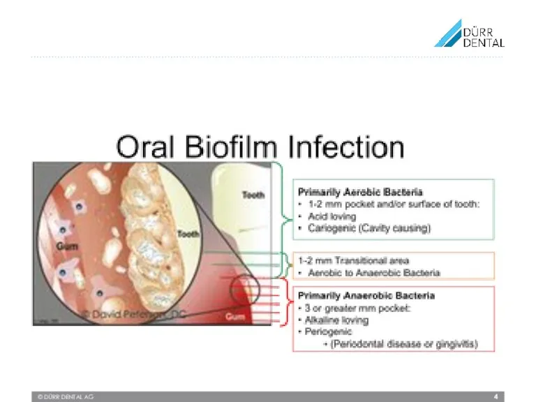 © DÜRR DENTAL AG