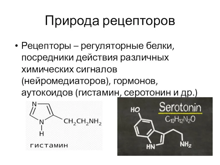 Природа рецепторов Рецепторы – регуляторные белки, посредники действия различных химических сигналов (нейромедиаторов),