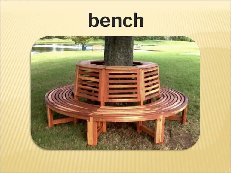 bench