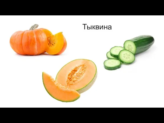 Тыквина