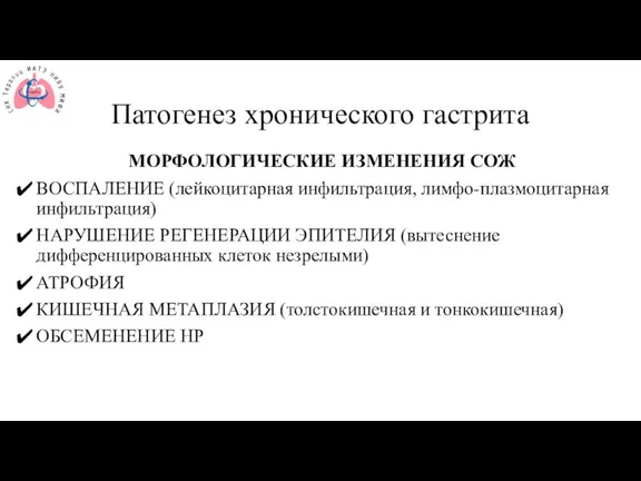 Патогенез хронического гастрита МОРФОЛОГИЧЕСКИЕ ИЗМЕНЕНИЯ СОЖ ВОСПАЛЕНИЕ (лейкоцитарная инфильтрация, лимфо-плазмоцитарная инфильтрация) НАРУШЕНИЕ