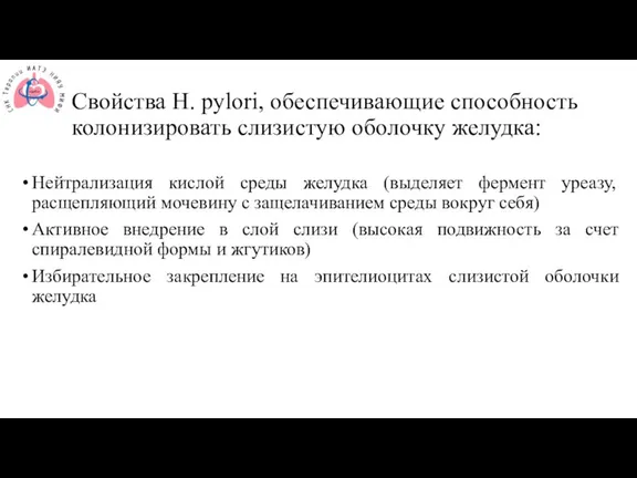 Свойства H. pylori, обеспечивающие способность колонизировать слизистую оболочку желудка: Нейтрализация кислой среды