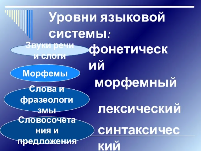 Уровни языковой системы: Звуки речи и слоги Морфемы Слова и фразеологизмы Словосочетания