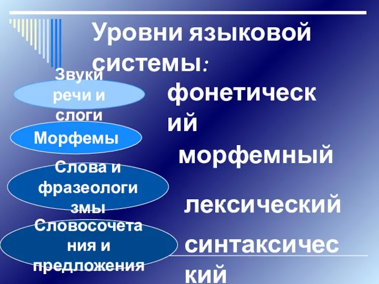 Уровни языковой системы: Звуки речи и слоги Морфемы Слова и фразеологизмы Словосочетания