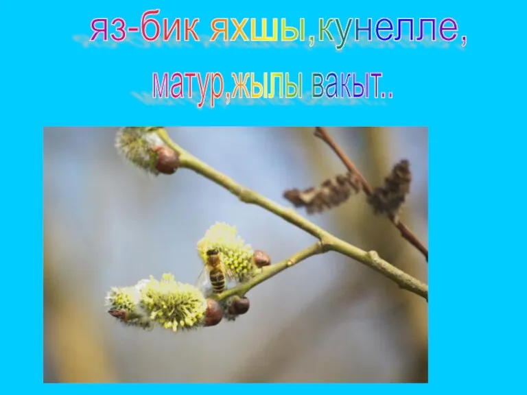 яз-бик яхшы,кунелле, матур,жылы вакыт..