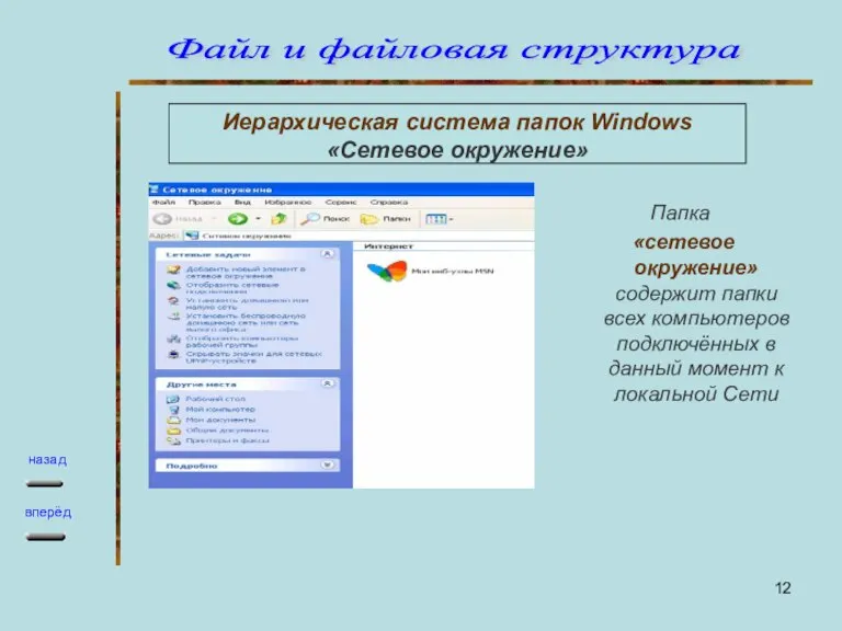 Иерархическая система папок Windows «Сетевое окружение» Папка «сетевое окружение» содержит папки всех