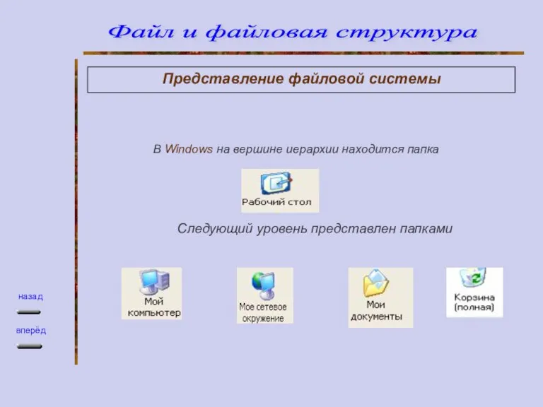 Представление файловой системы В Windows на вершине иерархии находится папка Следующий уровень представлен папками