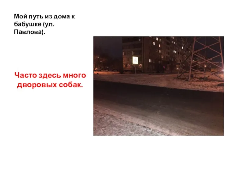 Мой путь из дома к бабушке (ул. Павлова). Часто здесь много дворовых собак.