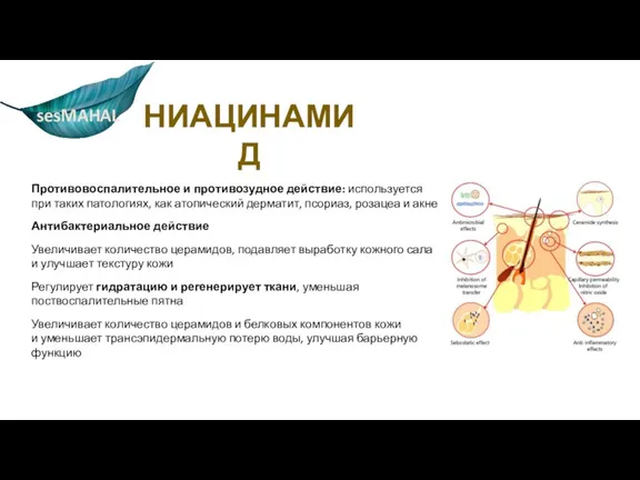 НИАЦИНАМИД Противовоспалительное и противозудное действие: используется при таких патологиях, как атопический дерматит,