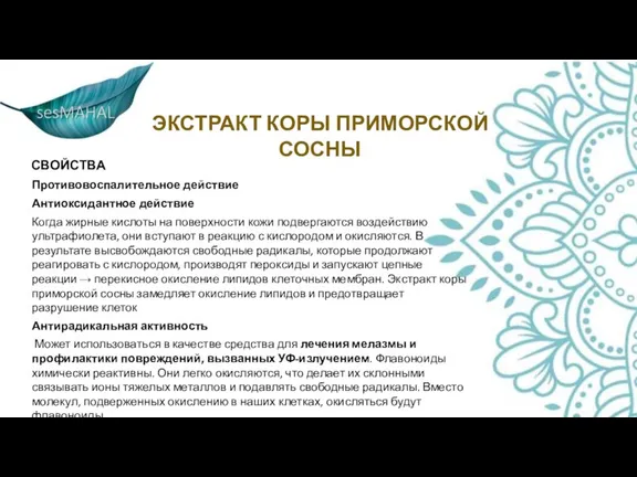 ЭКСТРАКТ КОРЫ ПРИМОРСКОЙ СОСНЫ СВОЙСТВА Противовоспалительное действие Антиоксидантное действие Когда жирные кислоты