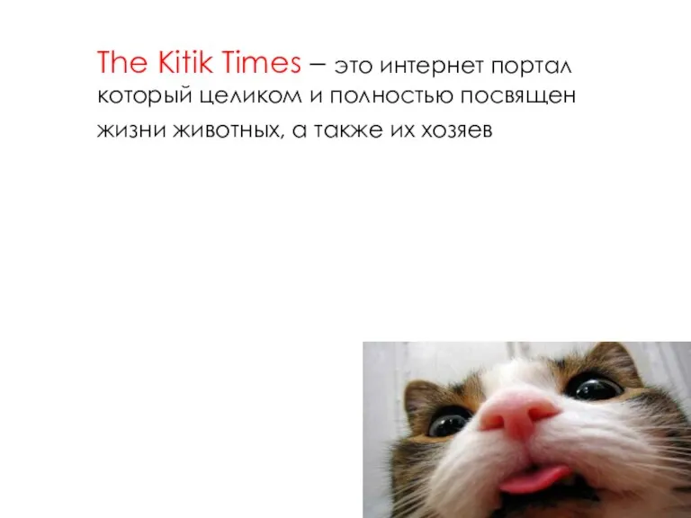 The Kitik Times – это интернет портал который целиком и полностью посвящен