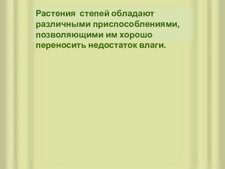 Растения степей обладают различными приспособлениями, позволяющими им хорошо переносить недостаток влаги.