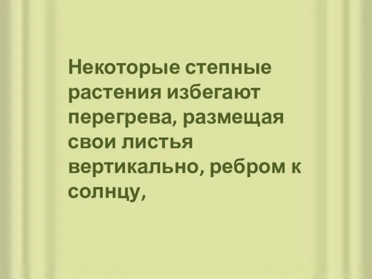 Некоторые степные растения избегают перегрева, размещая свои листья вертикально, ребром к солнцу,