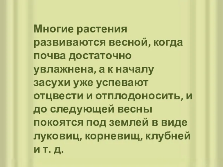 Многие растения развиваются весной, когда почва достаточно увлажнена, а к началу засухи