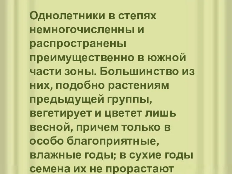 Однолетники в степях немногочисленны и распространены преимущественно в южной части зоны. Большинство