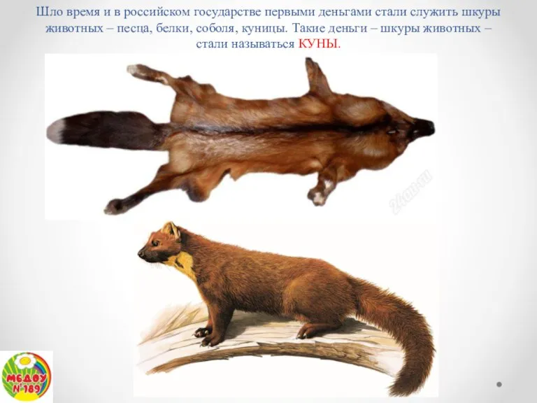 Шло время и в российском государстве первыми деньгами стали служить шкуры животных