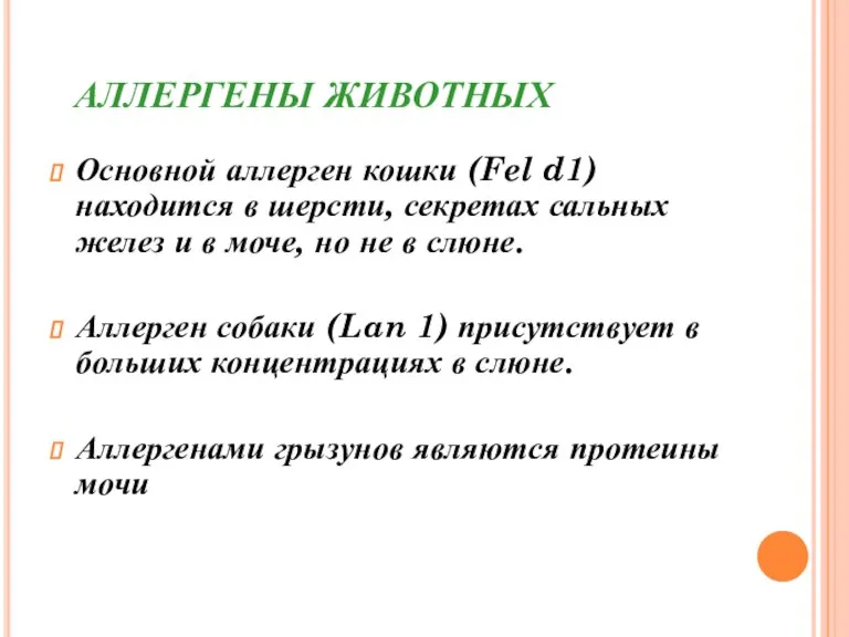 АЛЛЕРГЕНЫ ЖИВОТНЫХ Основной аллерген кошки (Fel d1) находится в шерсти, секретах сальных