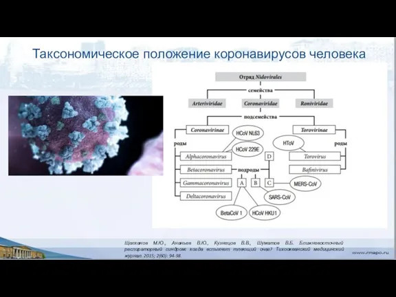 Щелканов М.Ю., Ананьев В.Ю., Кузнецов В.В., Шуматов В.Б. Ближневосточный респираторный синдром: когда