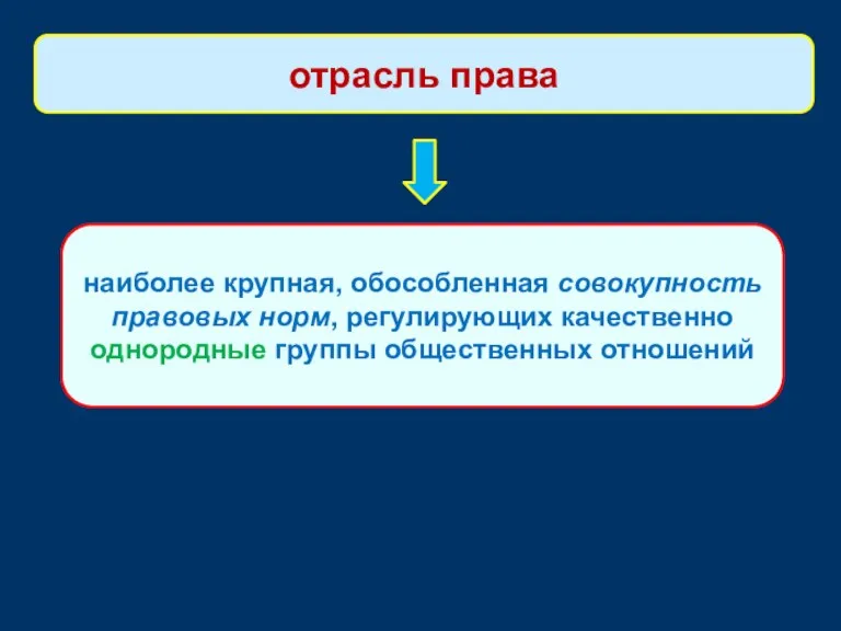 наиболее крупная, обособленная совокупность правовых норм, регулирующих качественно однородные группы общественных отношений отрасль права