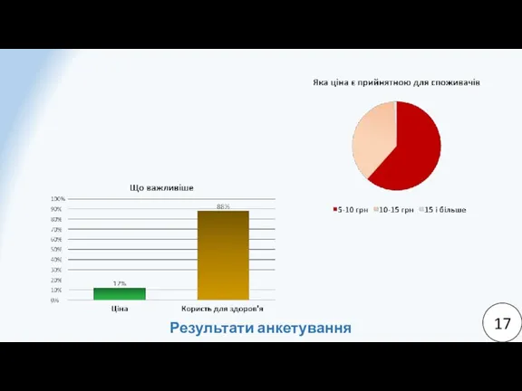 17 Результати анкетування