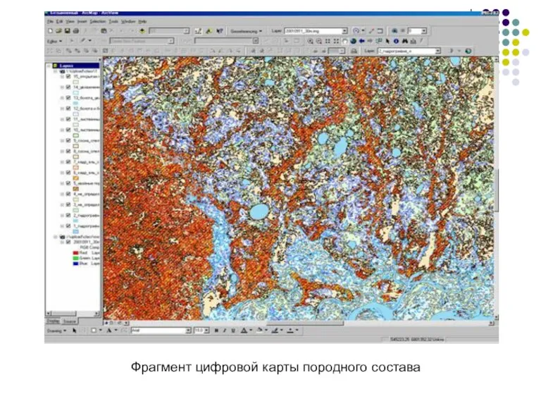 Фрагмент цифровой карты породного состава