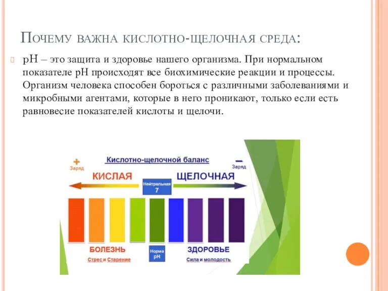 Почему важна кислотно-щелочная среда: pH – это защита и здоровье нашего организма.