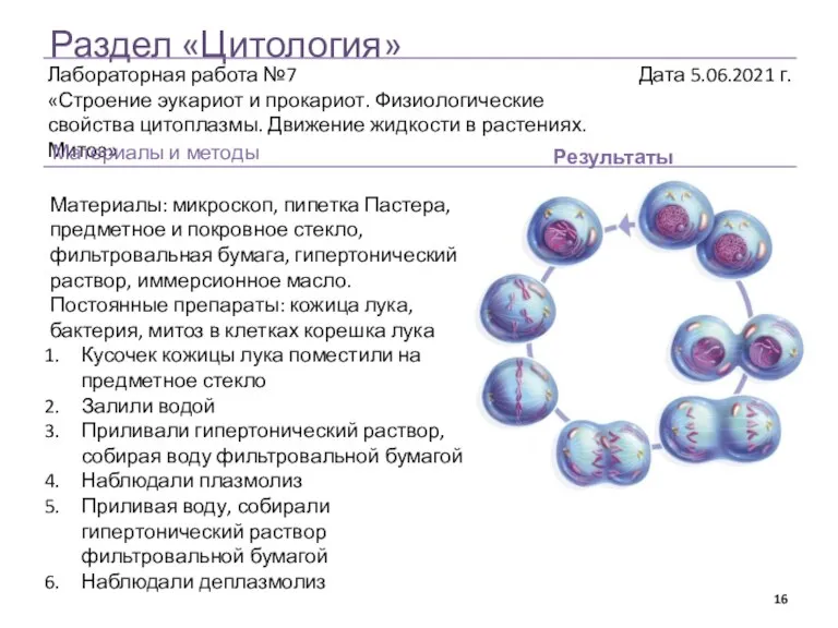 Раздел «Цитология» Результаты Материалы и методы Материалы: микроскоп, пипетка Пастера, предметное и