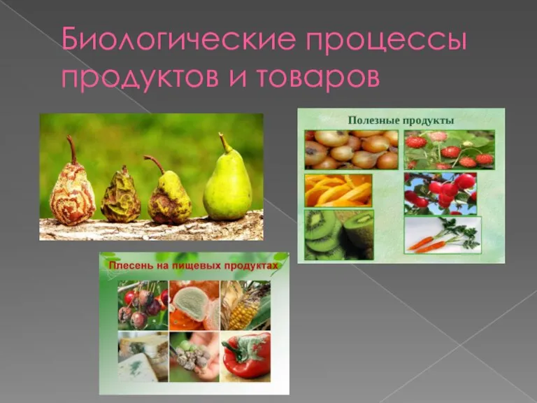 Биологические процессы продуктов и товаров