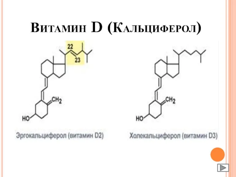 Витамин D (Кальциферол)