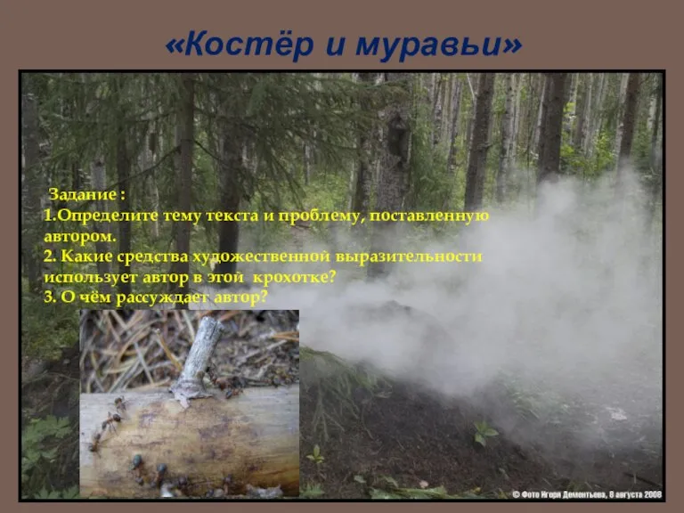 «Костёр и муравьи» Задание : 1.Определите тему текста и проблему, поставленную автором.