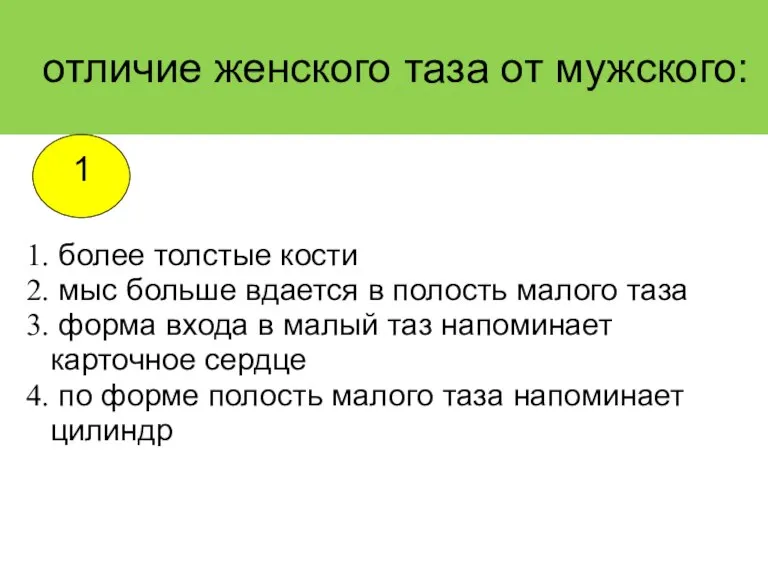 отличие женского таза от мужского: более толстые кости мыс больше вдается в