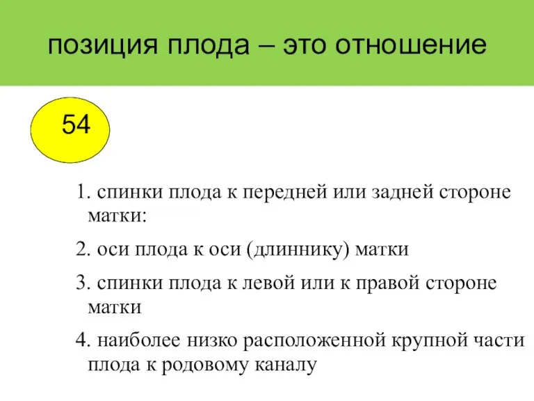 позиция плода – это отношение спинки плода к передней или задней стороне