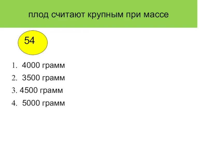 плод считают крупным при массе 4000 грамм 3500 грамм 4500 грамм 5000 грамм 54 1