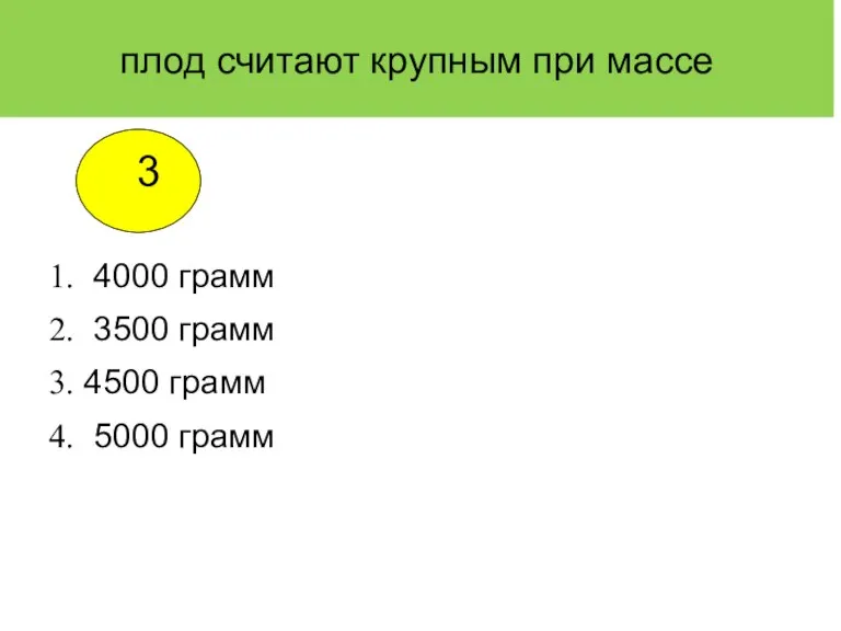 плод считают крупным при массе 4000 грамм 3500 грамм 4500 грамм 5000 грамм 3 1