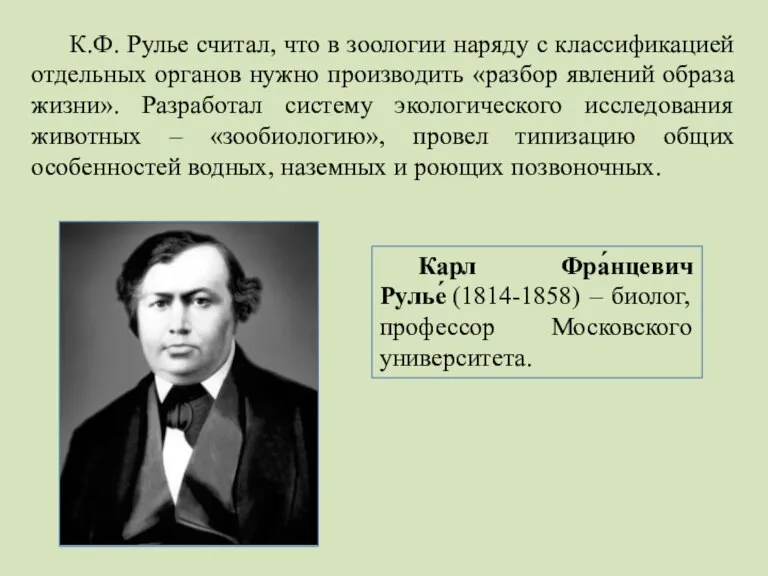 К.Ф. Рулье считал, что в зоологии наряду с классификацией отдельных органов нужно