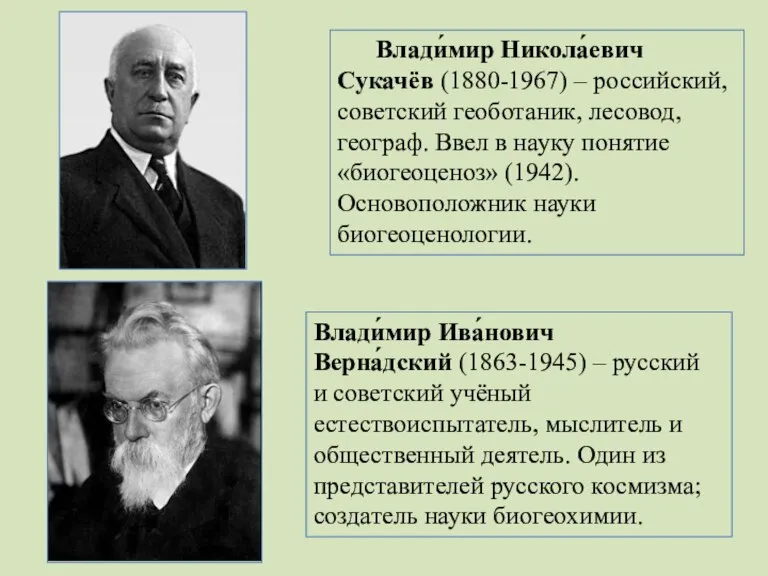 Влади́мир Никола́евич Сукачёв (1880-1967) – российский, советский геоботаник, лесовод, географ. Ввел в