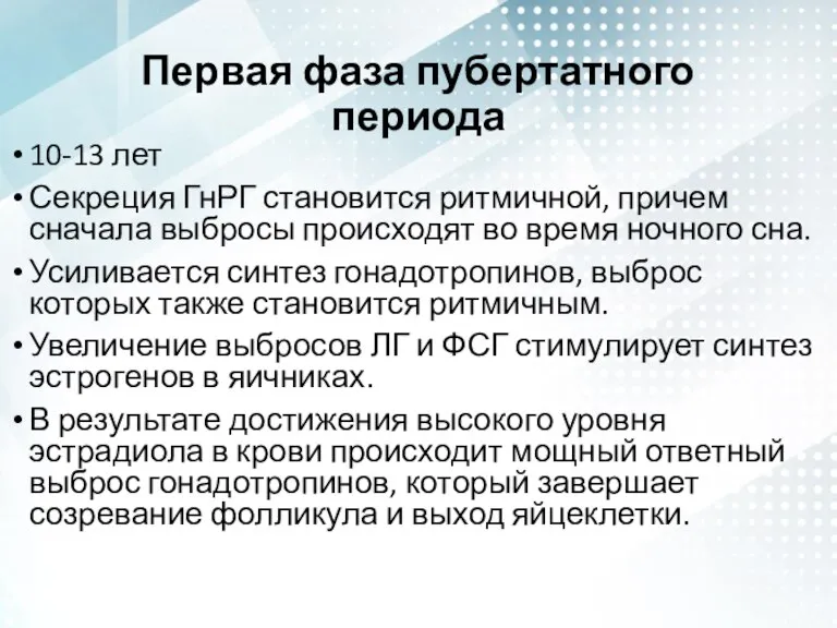 Первая фаза пубертатного периода 10-13 лет Секреция ГнРГ становится ритмичной, причем сначала