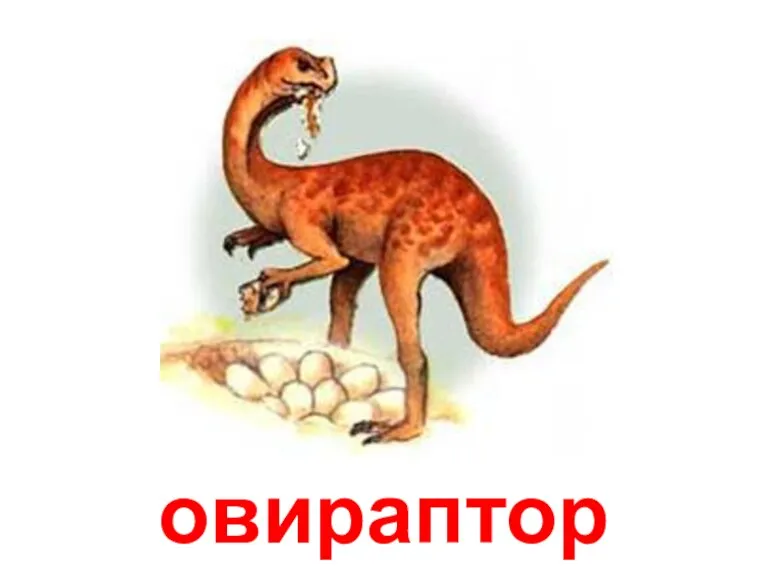 овираптор