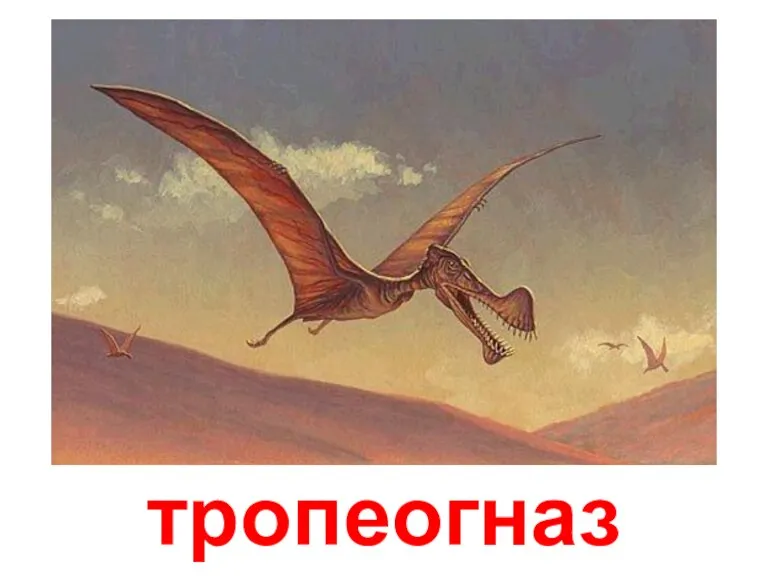 тропеогназ