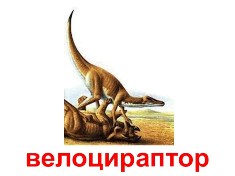 велоцираптор