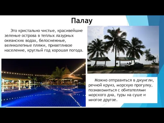 Палау Это кристально чистые, красивейшие зеленые острова в теплых лазурных океанских водах,