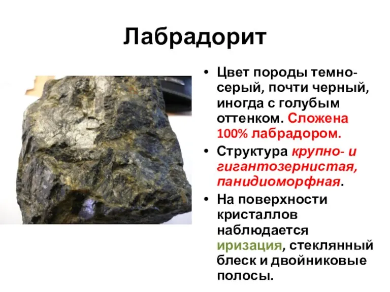 Лабрадорит Цвет породы темно-серый, почти черный, иногда с голубым оттенком. Сложена 100%