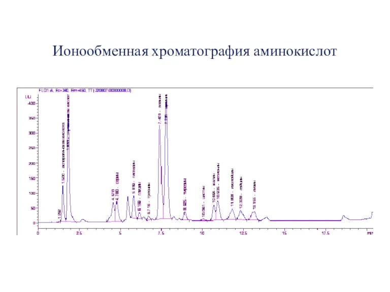 Ионообменная хроматография аминокислот