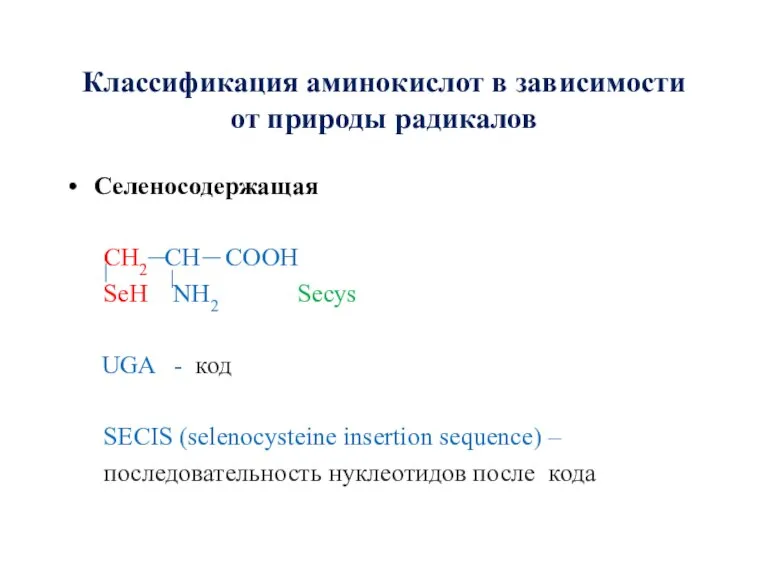 Классификация аминокислот в зависимости от природы радикалов Селеносодержащая CH2 CH COOH SeH
