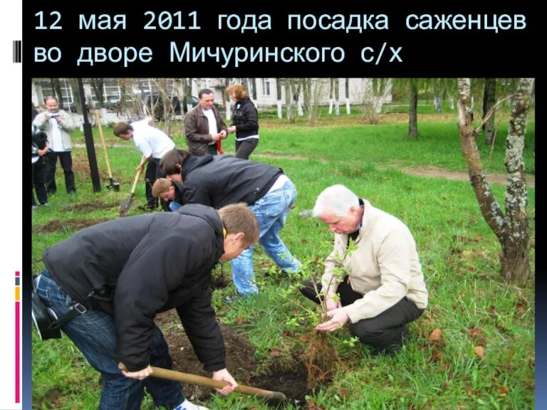 12 мая 2011 года посадка саженцев во дворе Мичуринского с/х техникума.