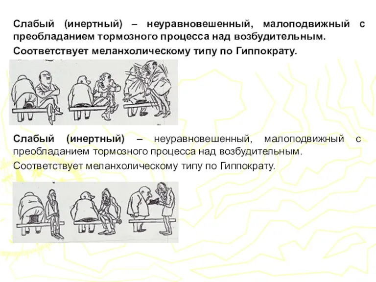 Слабый (инертный) – неуравновешенный, малоподвижный с преобладанием тормозного процесса над возбудительным. Соответствует